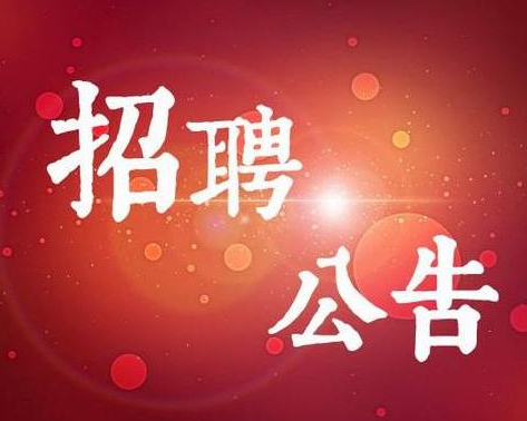 東營市黃河三角洲人力資源開發(fā)中心 招聘駕駛員簡(jiǎn)章
